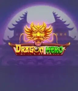 Enter a mythical quest with Dragon Hero by Pragmatic Play, featuring vivid graphics of powerful dragons and heroic battles. Discover a realm where fantasy meets thrill, with featuring enchanted weapons, mystical creatures, and treasures for a mesmerizing adventure.