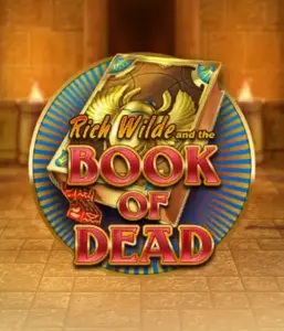 Dive into the thrilling world of Book of Dead by Play'n GO, featuring vivid graphics of Rich Wilde’s adventurous journey through ancient Egyptian tombs and artifacts. Find lost riches with engaging mechanics like free spins, expanding symbols, and a gamble option. Ideal for adventure enthusiasts with a desire for unearthing secrets.